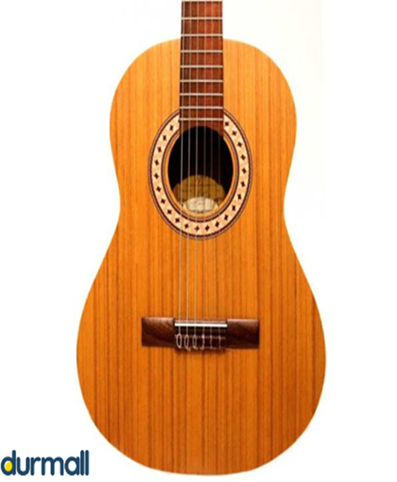 گیتار پارسی Parsi مدل M5